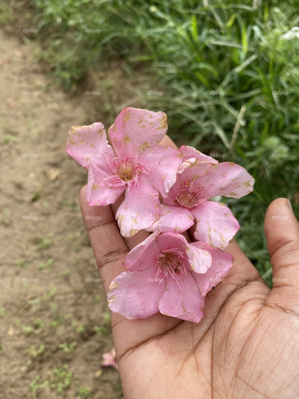 Beautiful weather today very nice and cold 🥶