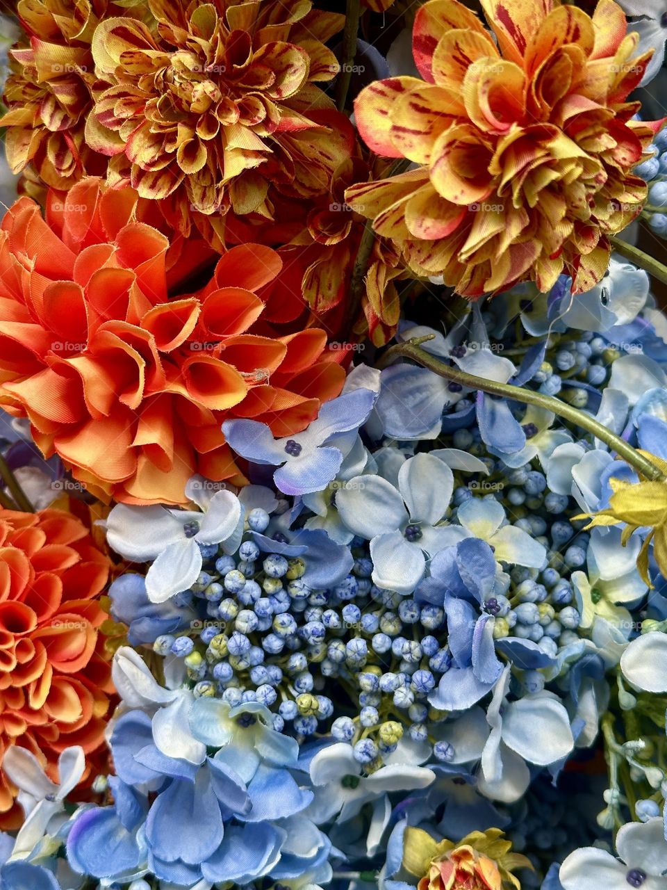 Bright colors 