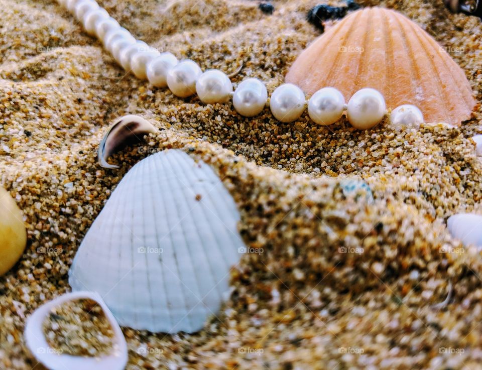 Beaches and seashells pearls