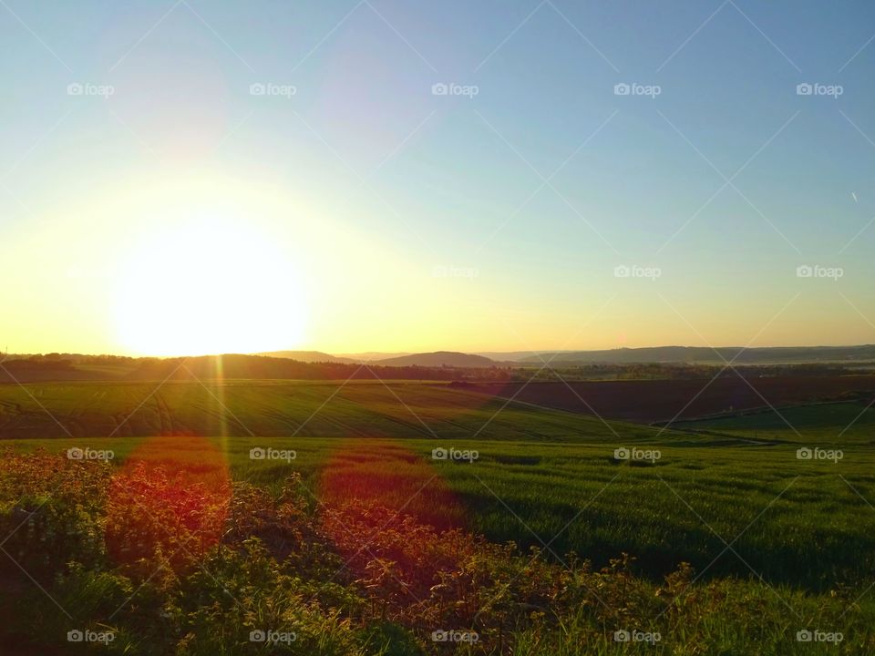 Sunrise on a field ☀️