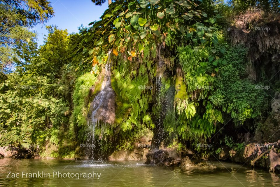 Krause Springs, Austin, Tx. 