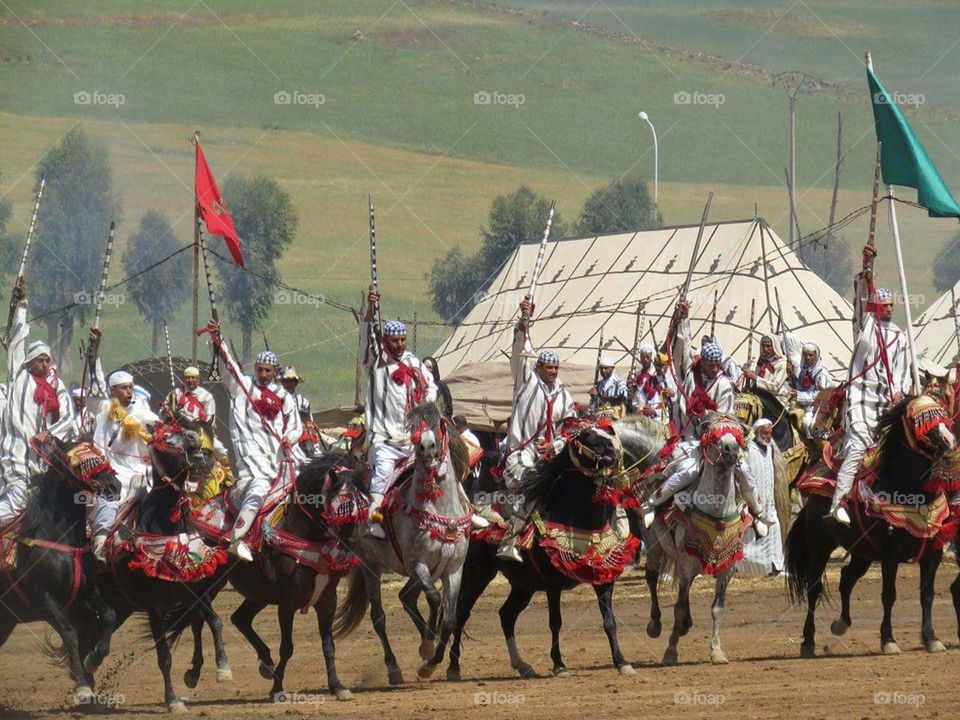 The Moroccan Fantasy