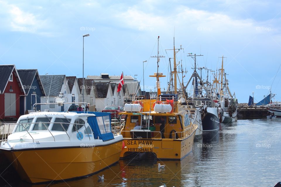 Fishing boats in the harbour 