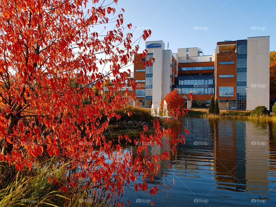Espoo, Finland - October 1, 2019: Headquarters of the Orion corporation located in Espoo Finland on sunny October evening with Autumn colours on the foreground. Orion is the leading pharmaceutical company in Finland.