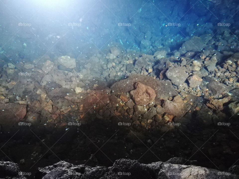 Blind albino crabs in the water at Cueva de Los Verdes