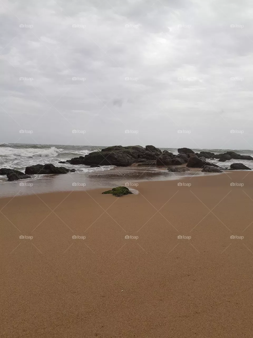 mountlavinia beach,This image has mossy rocks on the beach