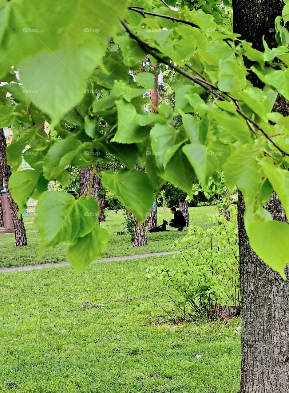 boy with dog walking in the park