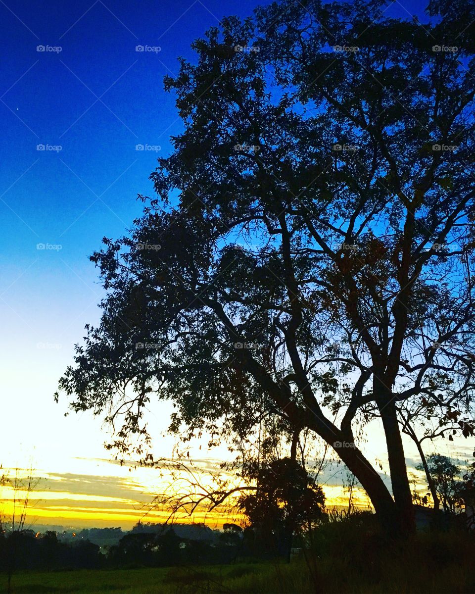 🌅Desperta, #Jundiaí!
Ótima 4a feira a todos.
🍃
#sol
#sun
#sky
#céu
#photo
#nature
#manhã
#morning
#alvorada
#natureza
#horizonte
#fotografia
#paisagem
#inspiração
#amanhecer
#mobgraphia
#brazil_mobile
#FotografeiEmJundiaí