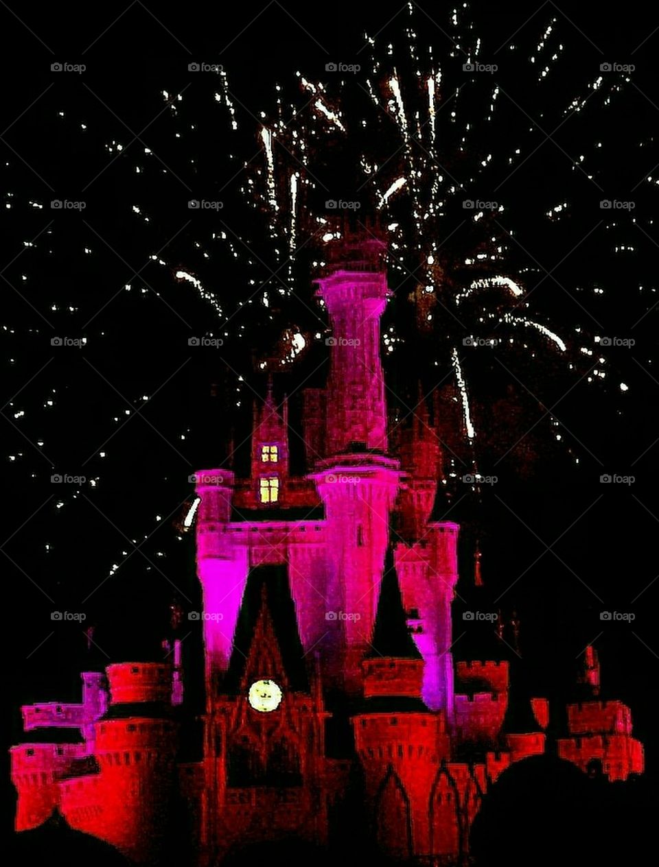 Disney Cinderella's Castle