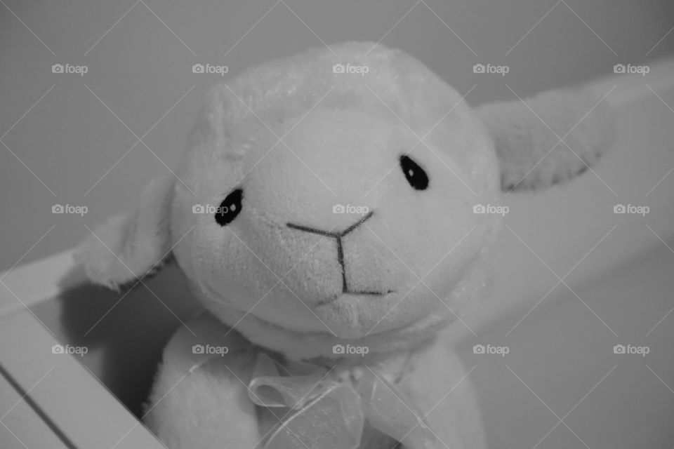 A cute sheep soft toy. Monochrome image.