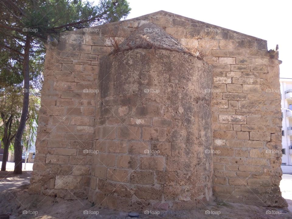 Editors' Choice - Photo of the Week