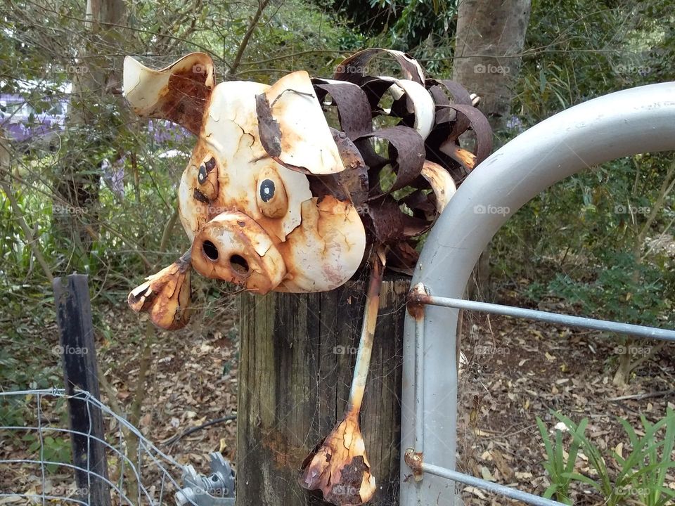 a disgusted metal pig who has been out in the weather too long