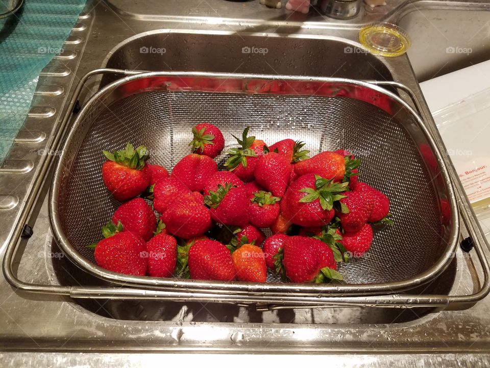Beautiful fresh red strawberries,  just washed, in a colander,  ready to enjoy.
