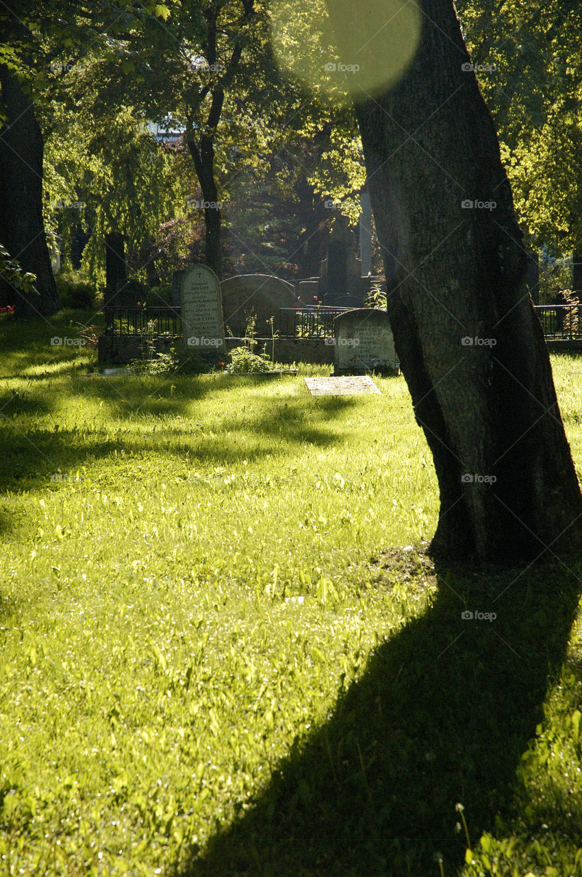 Norwegian Cemetary