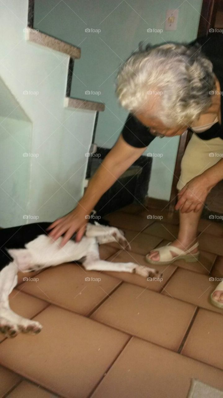 grandma and  dog