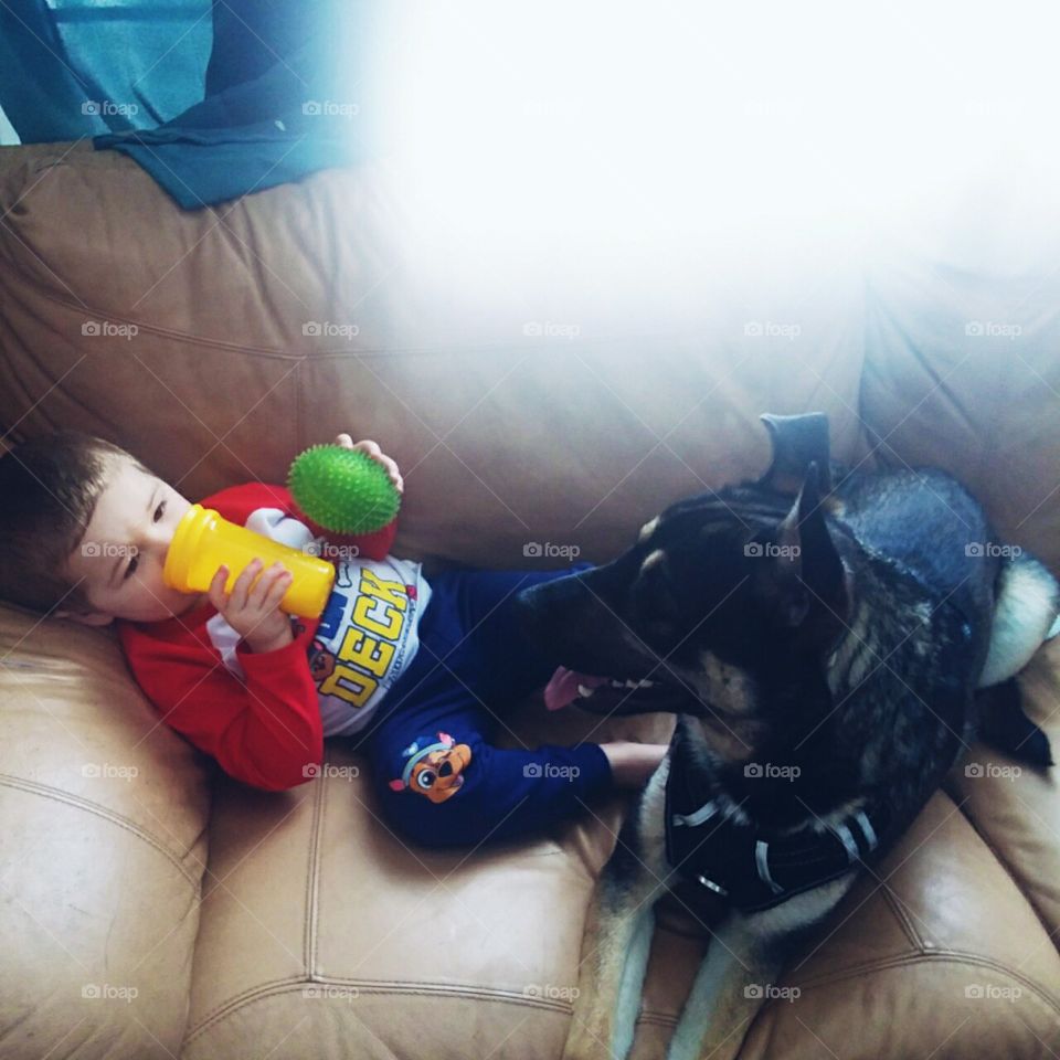 A Toddler and A Dog