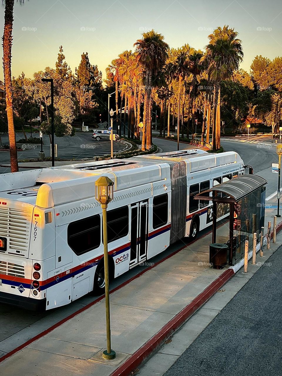 Bus Stop Public Transportation