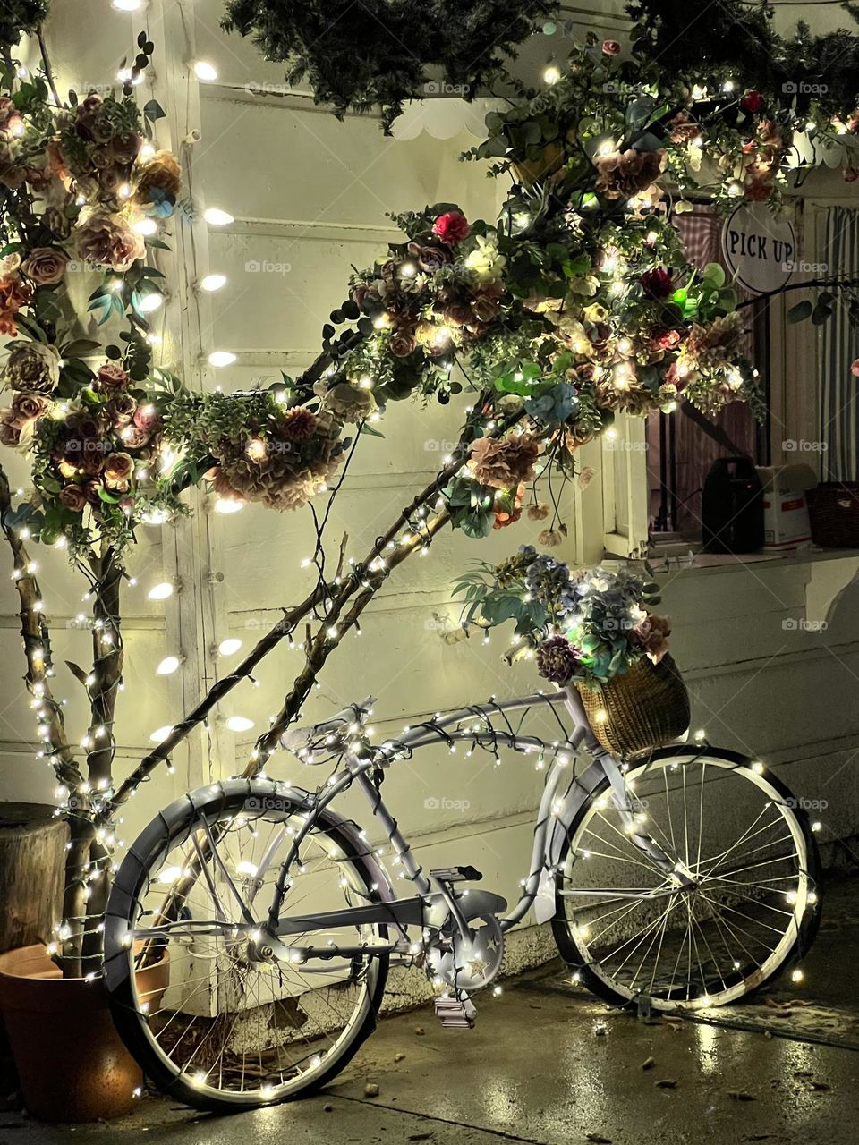 Twinkle twinkle little bike 