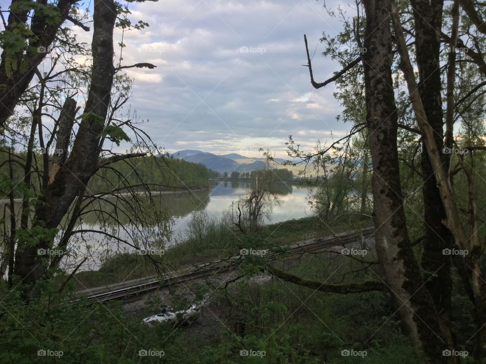 View of the Fraser River from the Woods