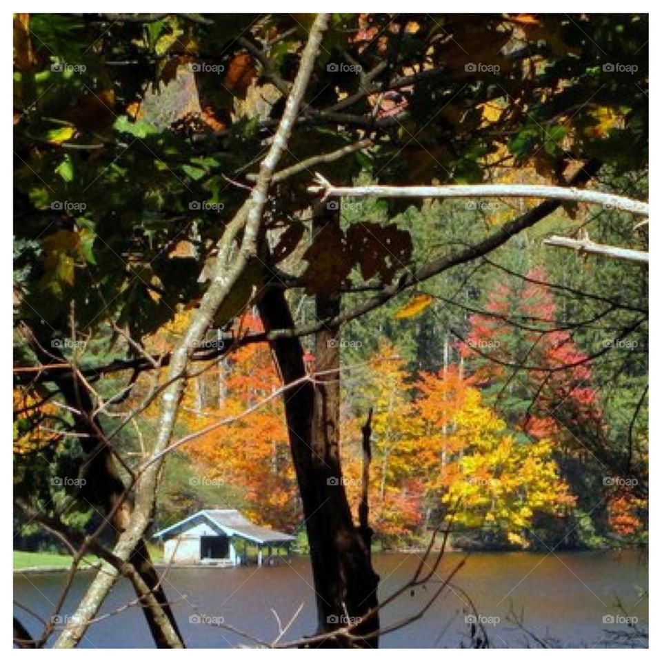 Fall on the Lake