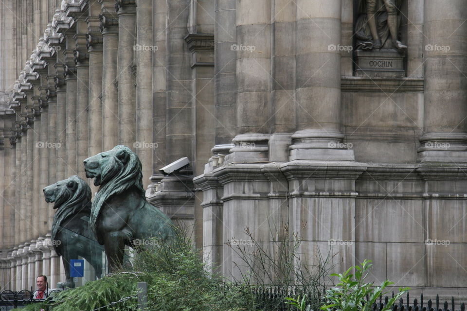 Majestic Lion statue by the city hall in Paris in Mares district 