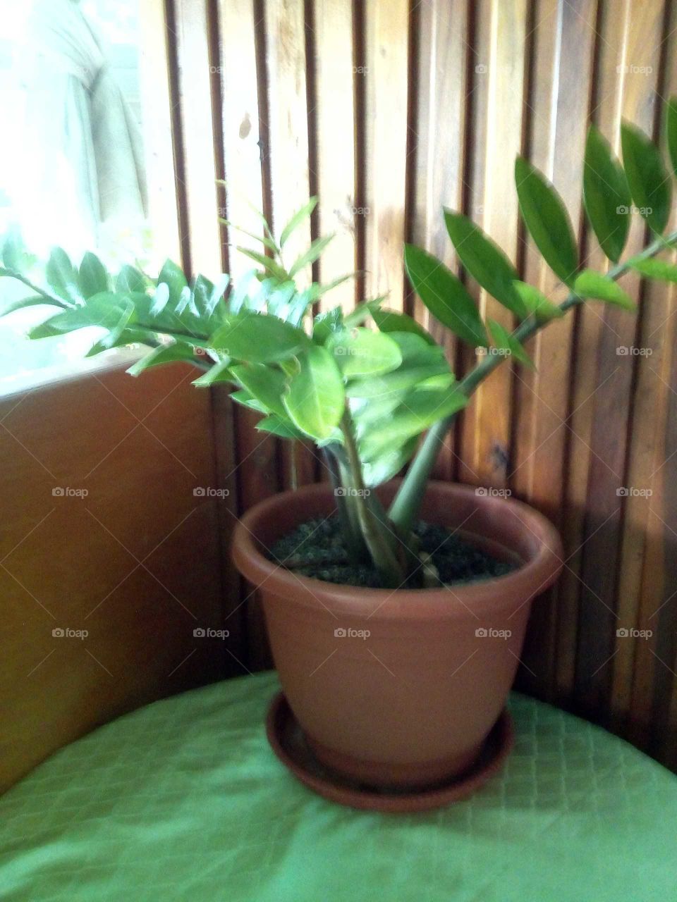 we always like to see pot plants they or beautiful dectortion and they make your house looking beautiful.