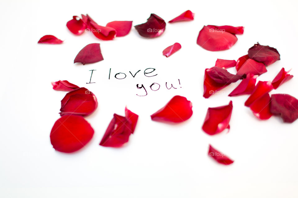 Red Rose Petals With Love Word Text Message Isolated In White Background
