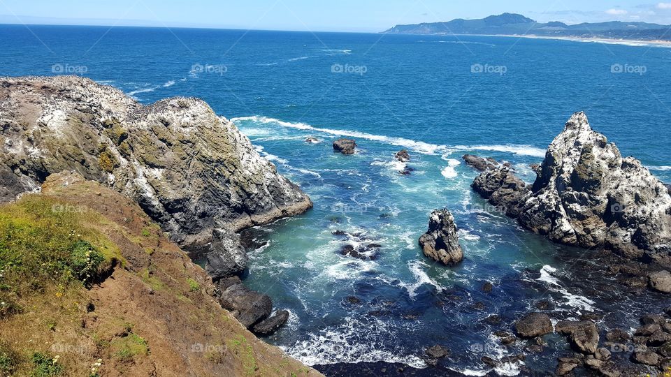 Oregon Coast