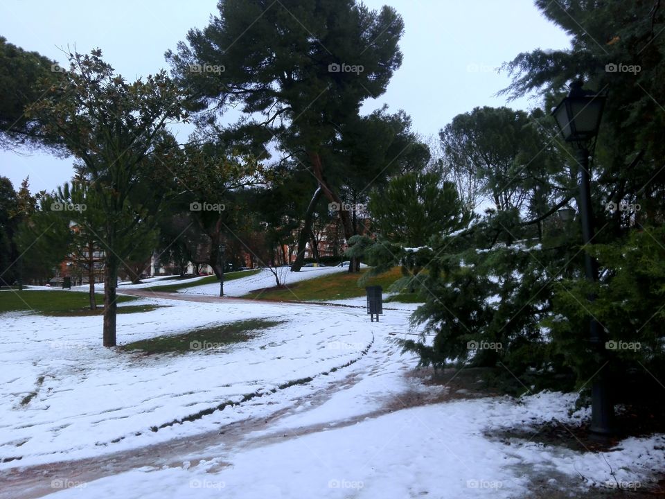 Nieve en Centro de Madrid