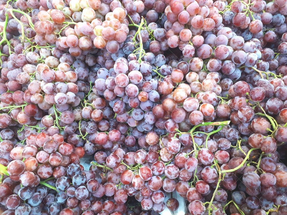 Group of red grapes