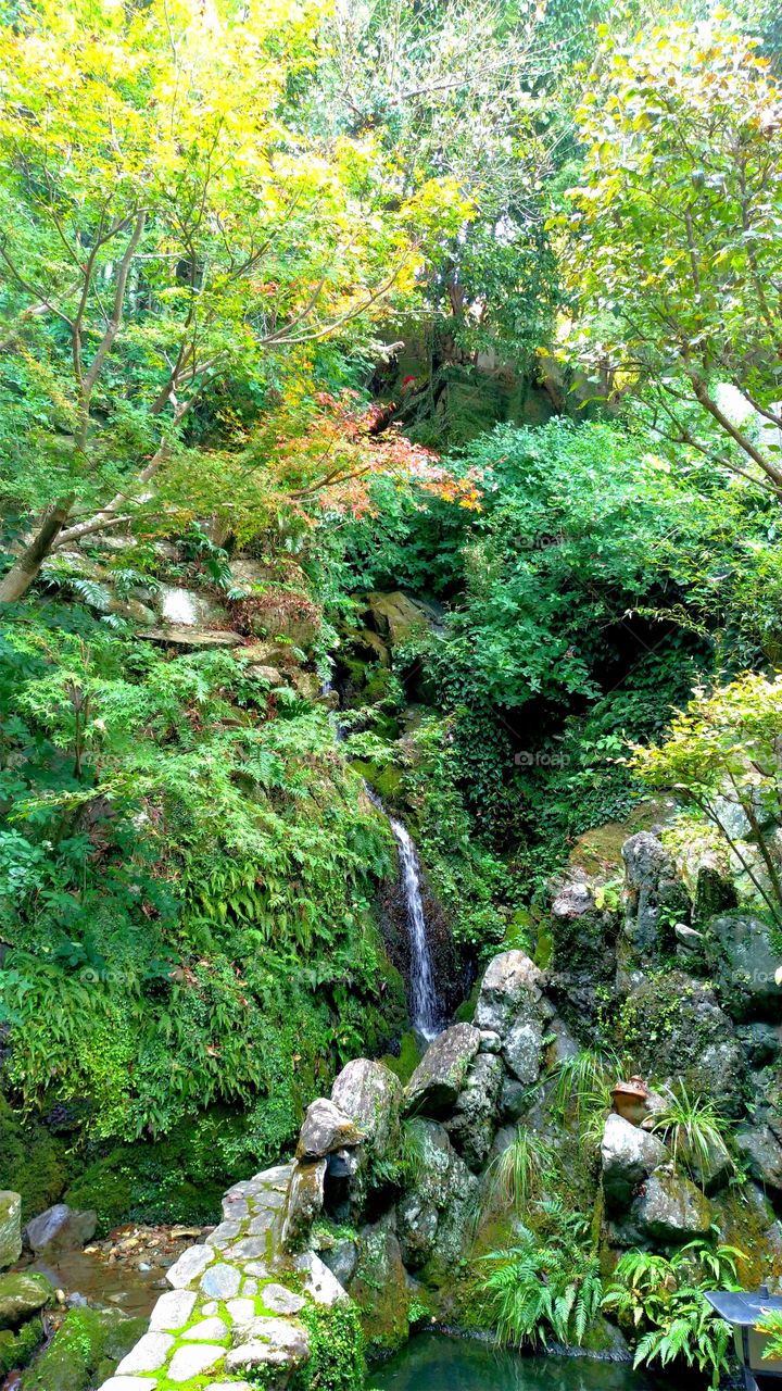 Shiraito waterfall in Tokushima