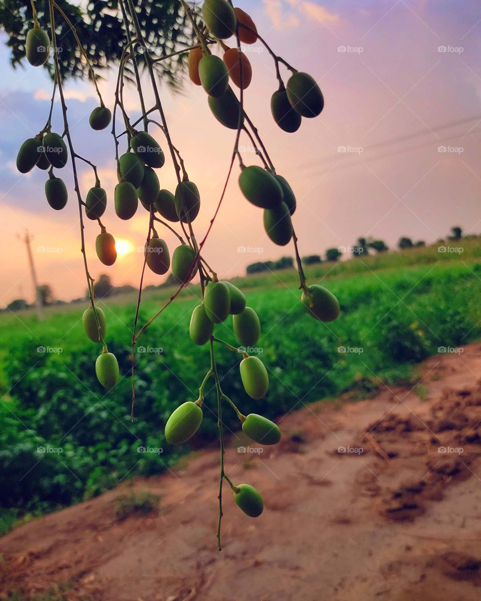 nature pictures  click by @divy.gahelot