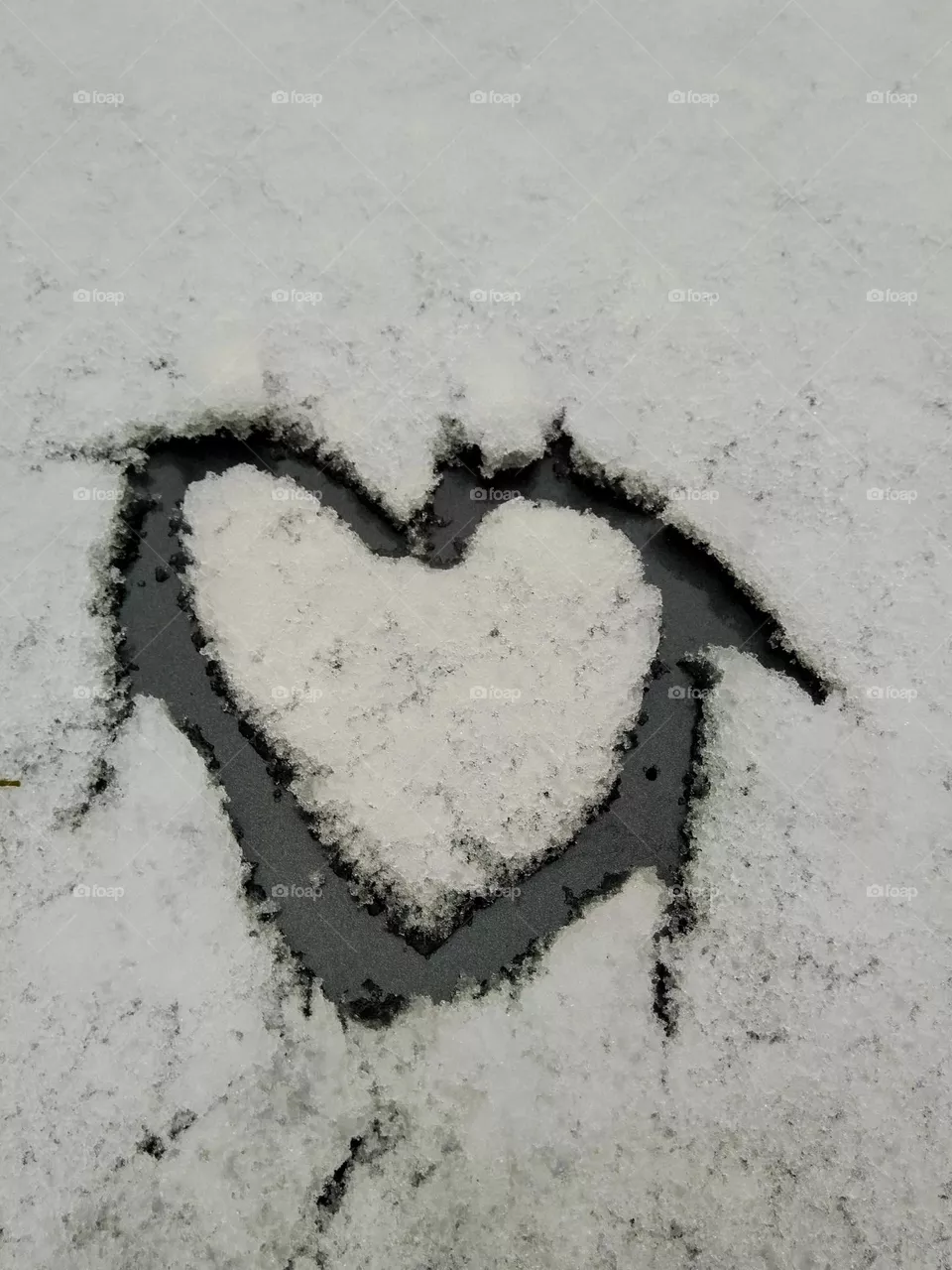 Heart