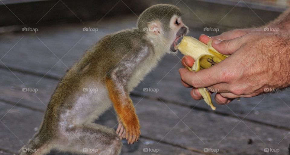 We all need a helping hand 