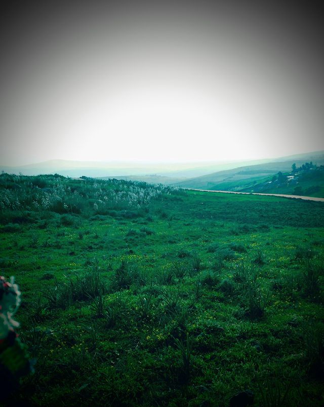 nature