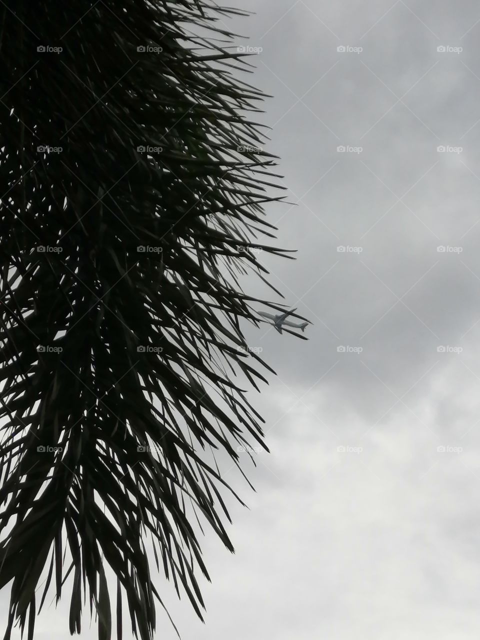 Find me if you can 😉