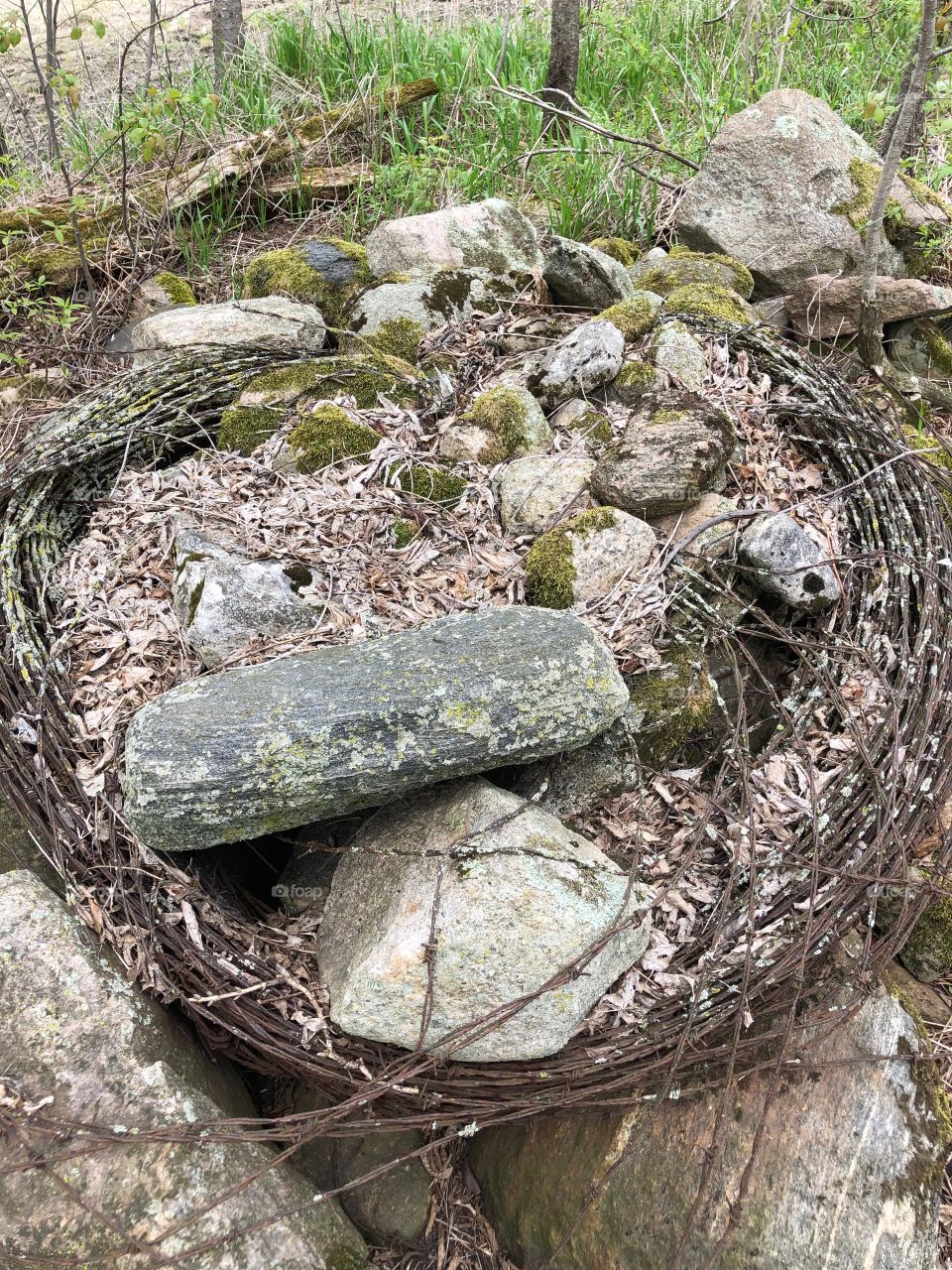 Old barbed wire mixed in with stone, leaves and moss. 