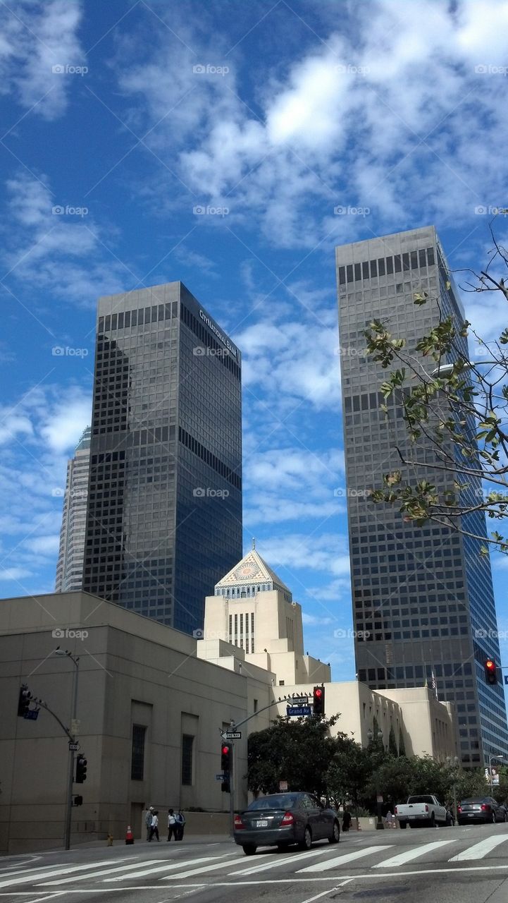 l.a. library