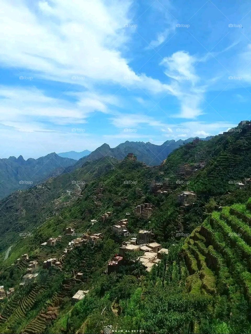 A very beautiful picture, and there is no better picture than it. There is no better picture of green herbs and colorful, red and white roses than it. Glory be to God, the natural and picturesque view, and there is no more