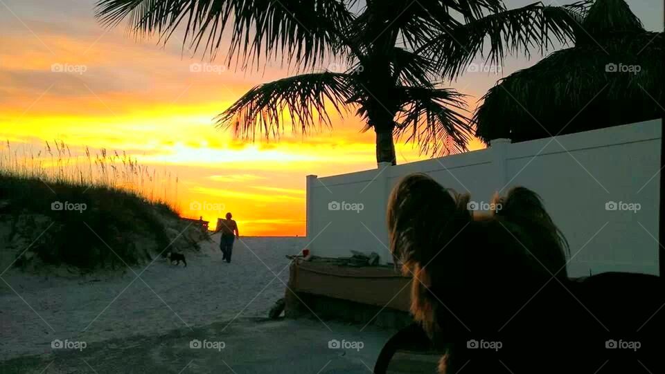 Tony Yorkie watching Sunset