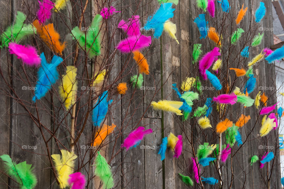 Easter fearhers in different colors.