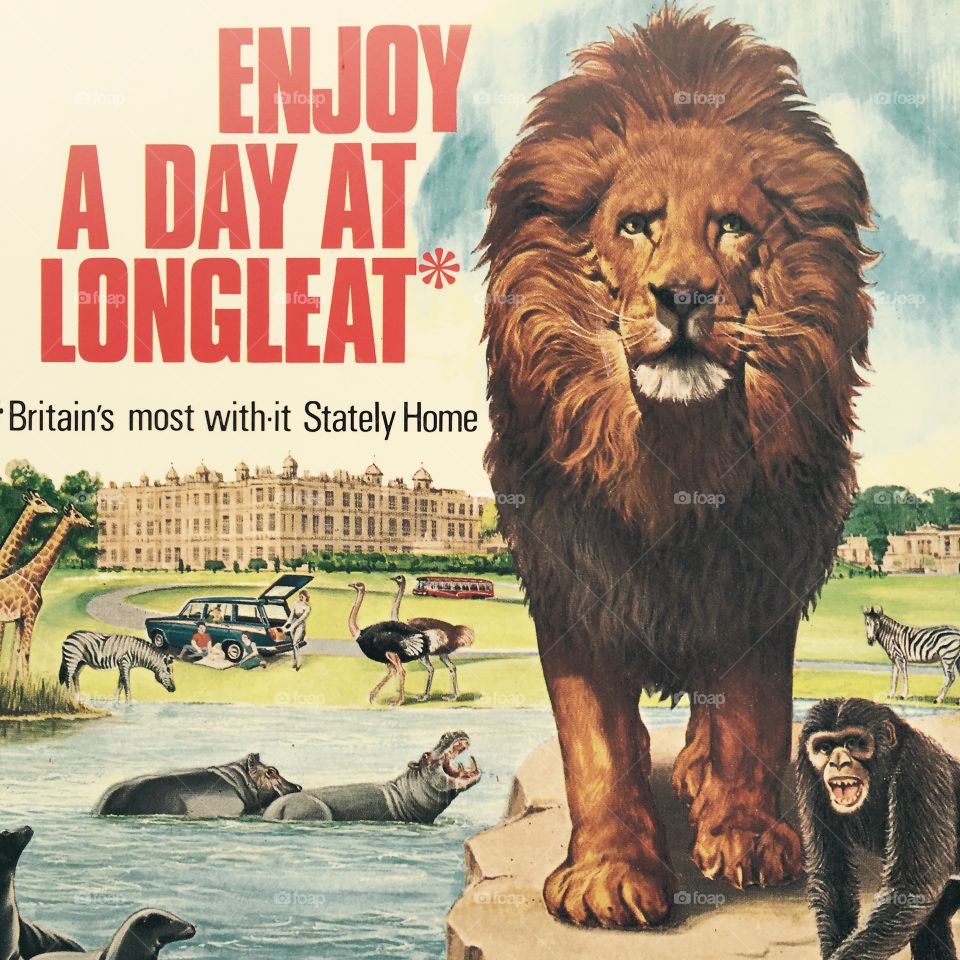 Vintage poster Longleat Safari Park c 1966