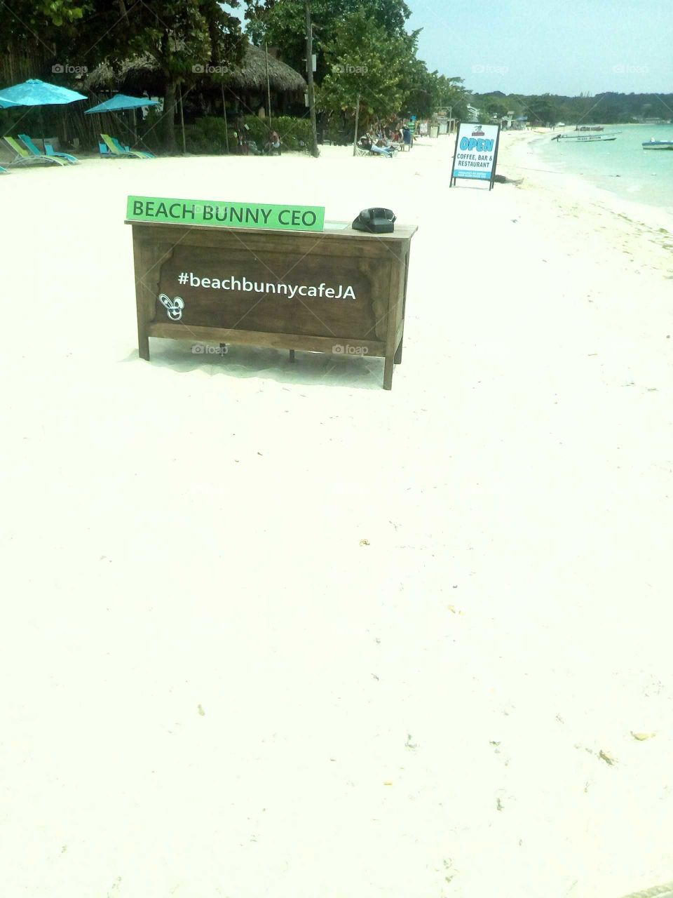 I can't believe when I see this on the beach it was unbelievable  to see it on the beach.