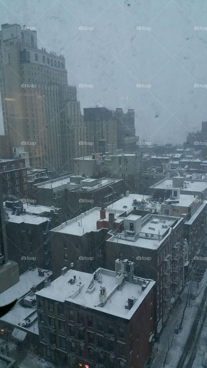 snow in the city