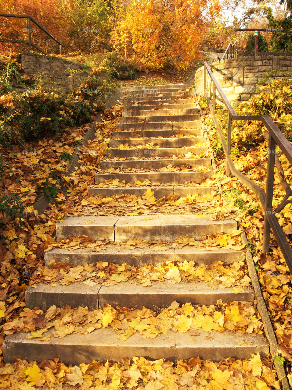 Autumn leaves in staircase