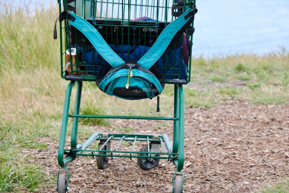 Shopping cart