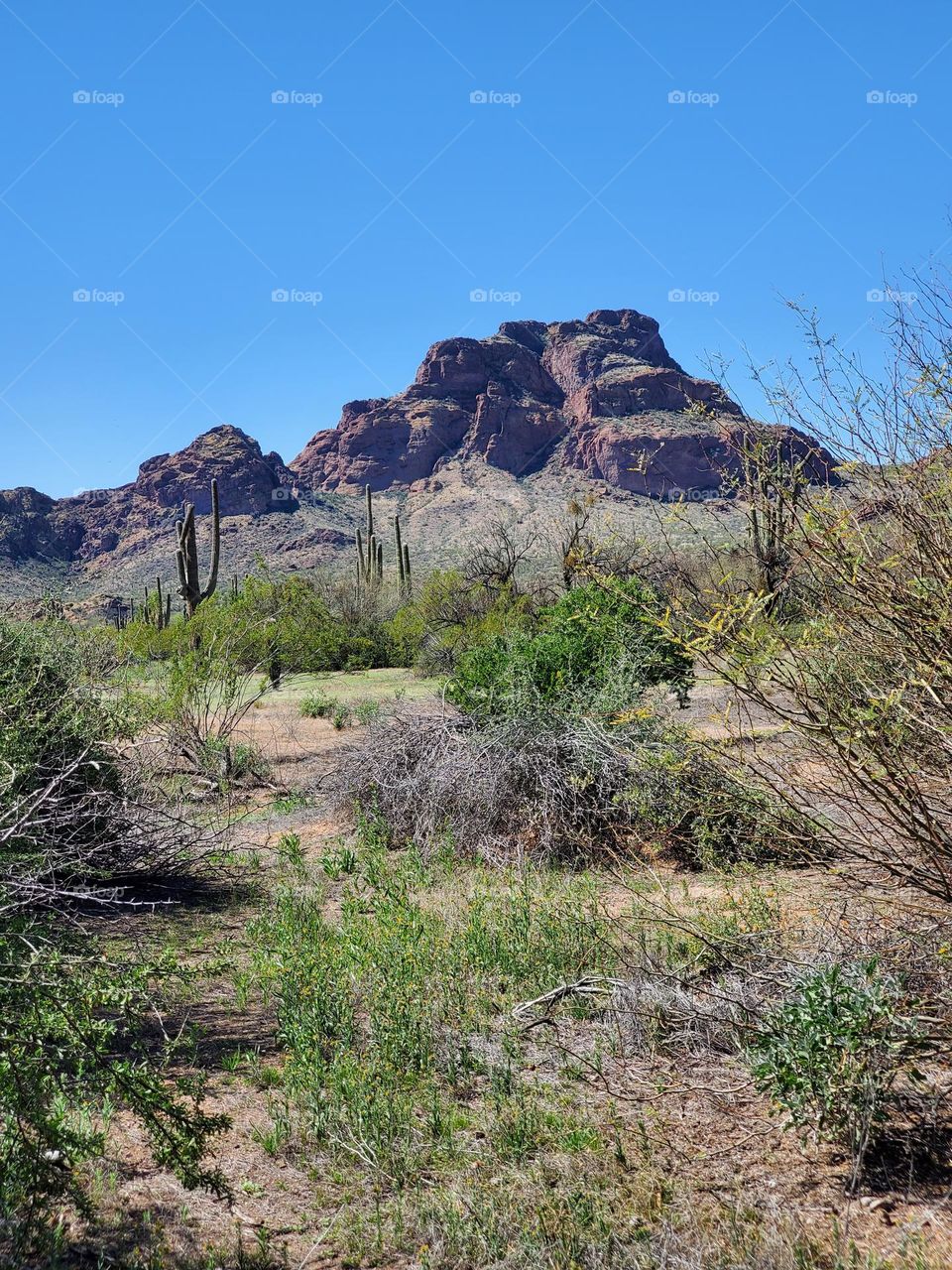 Red Mountain in Arizona Desert