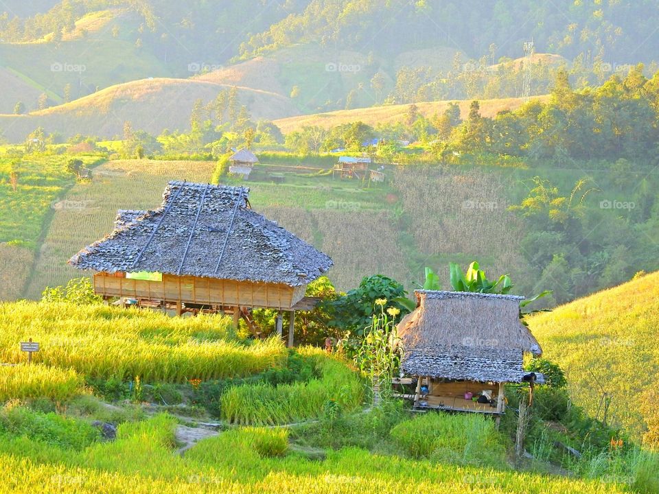 hostel in the raps rice field among mountains