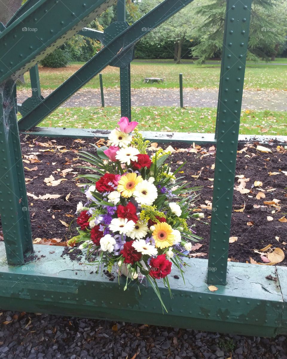 Structure in flowers