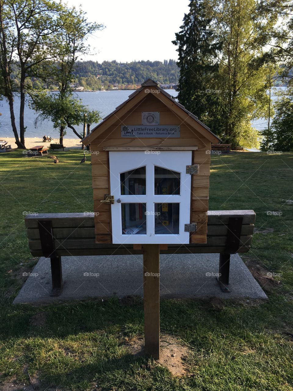 Little free library